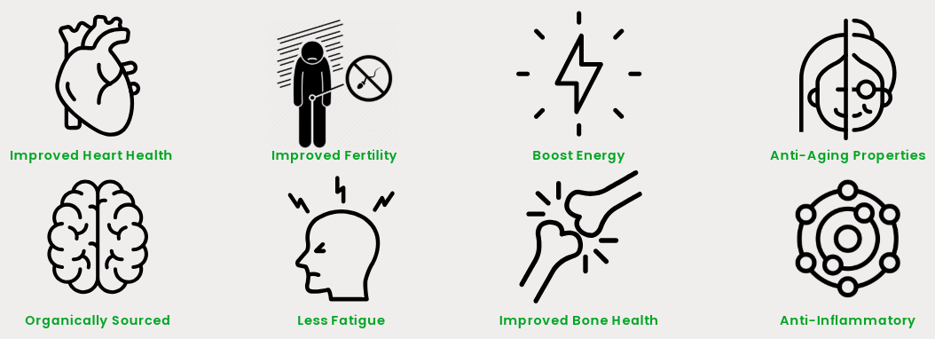Himalayan vs. Other Shilajit: Why Source Matters