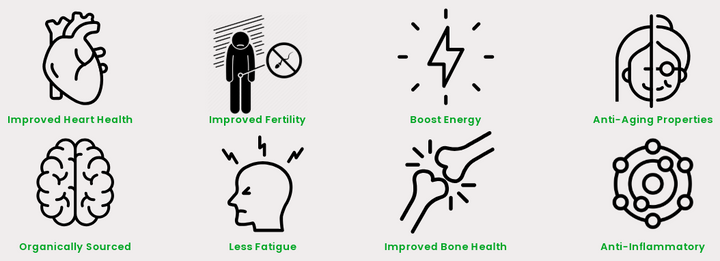 Himalayan vs. Other Shilajit: Why Source Matters