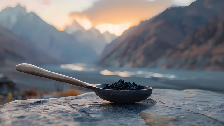 How to Identify Pure Himalayan Shilajit: A Buyer’s Guide